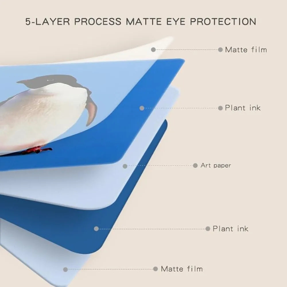 Montessori Baby Visual Early Learning Stimulation Flash Cards - Black and White, Black and Red, Color Contrast Cards